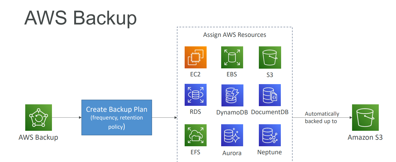 image-20241211034048209